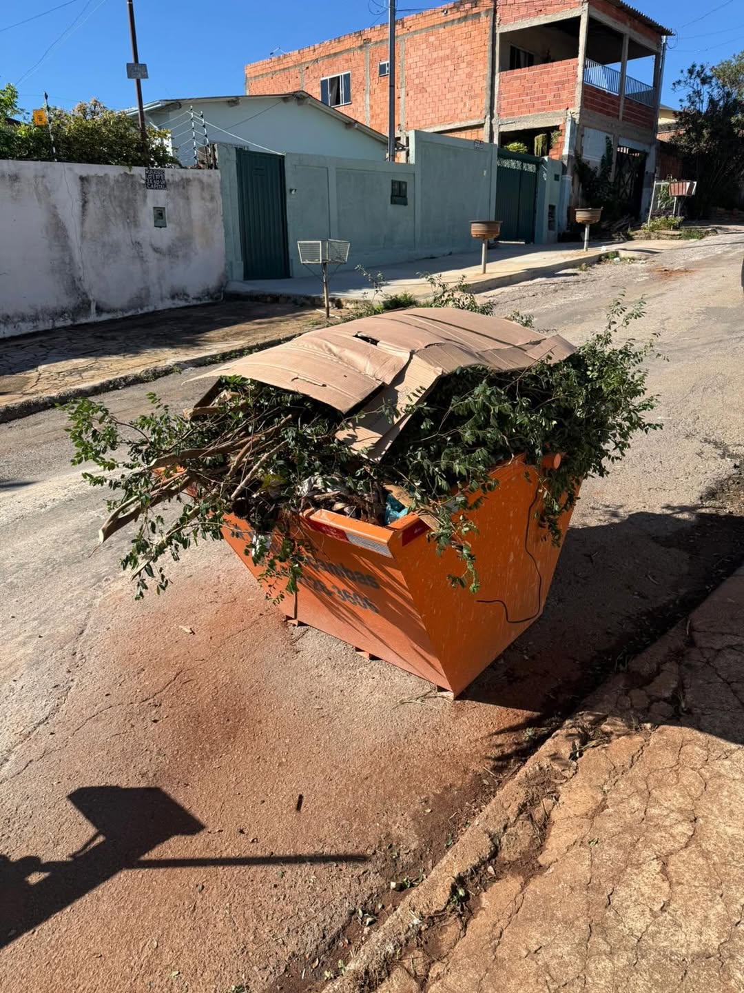 Mini caçamba LF com restos de poda e galhos